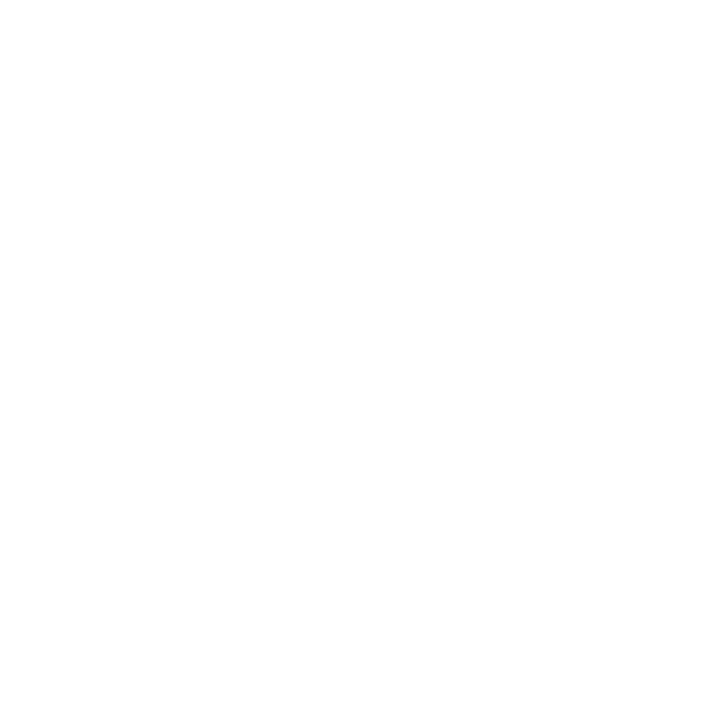 SSE Executive Education logo