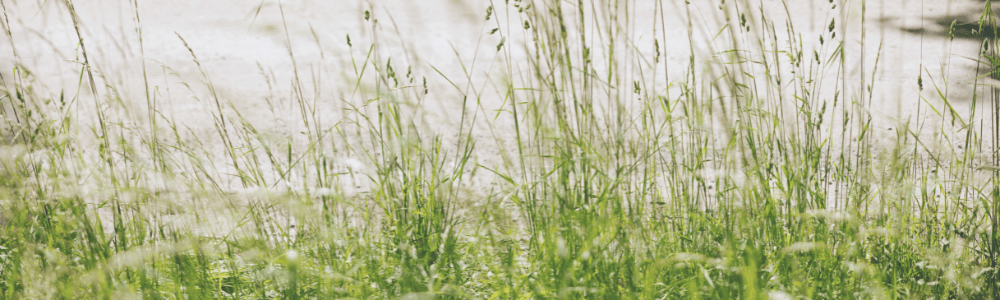 Sommarbild featured (1000 x 300 px)